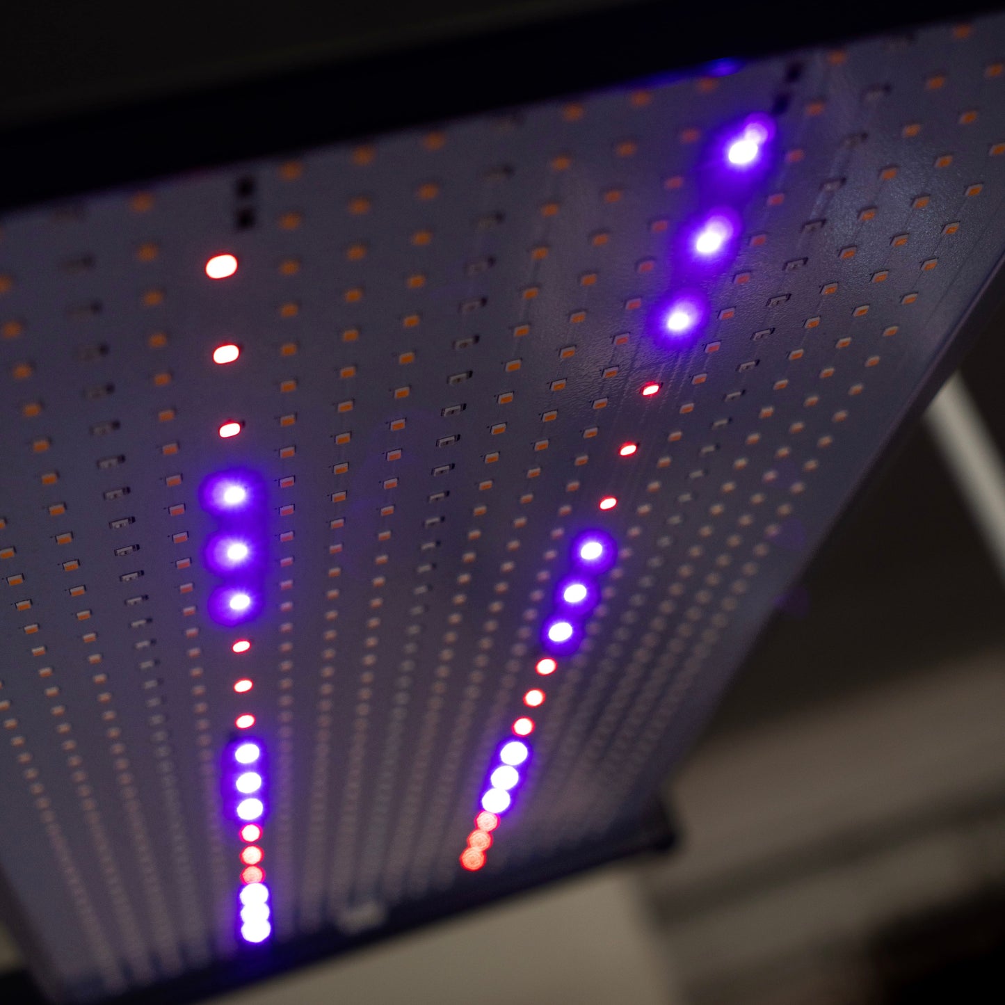 PROBUD® WINGBOARD 480H - PROBUD®