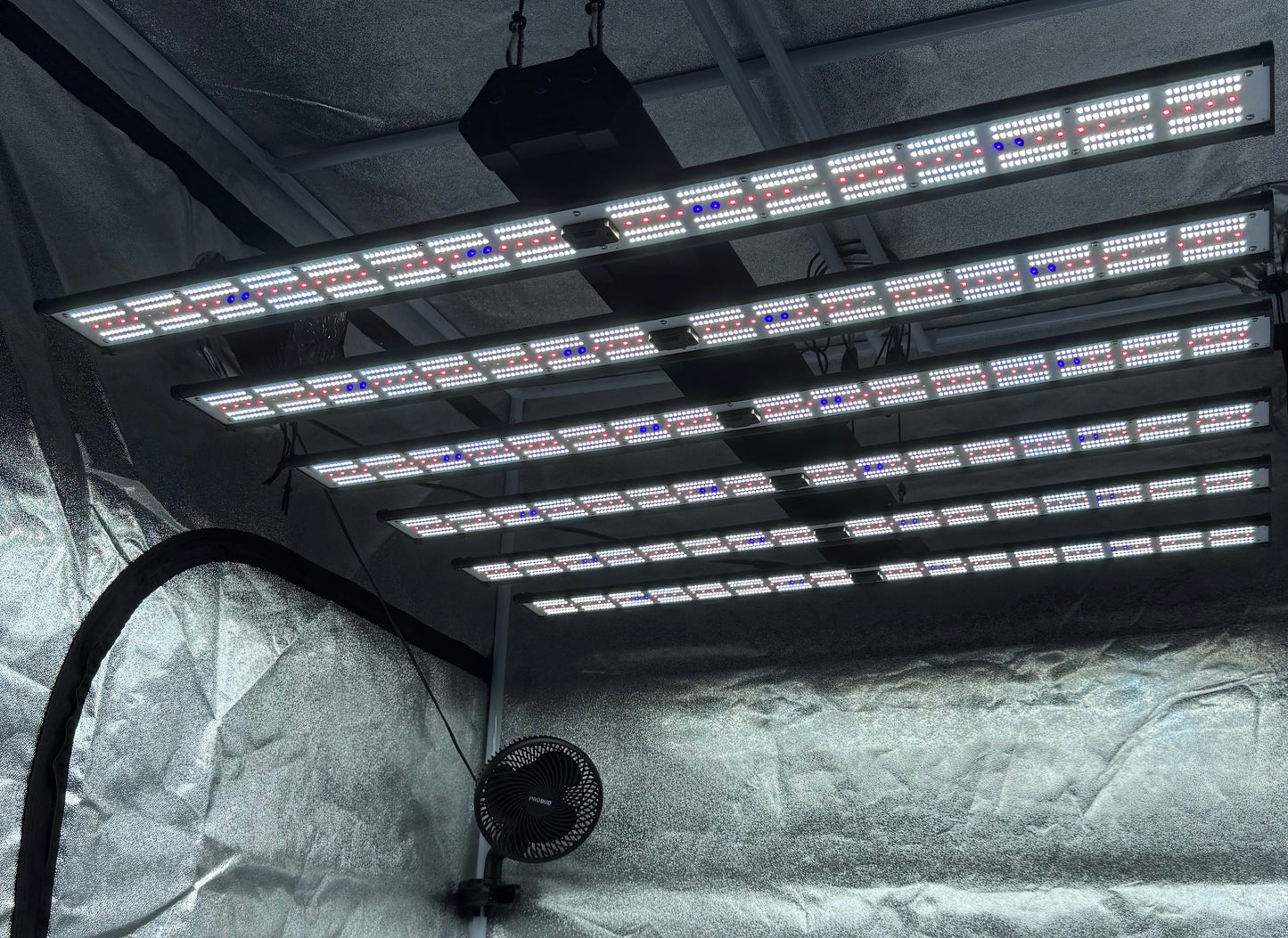 PROBUD® BLACK ARGUS 1250 EVO PRO - PROBUD®