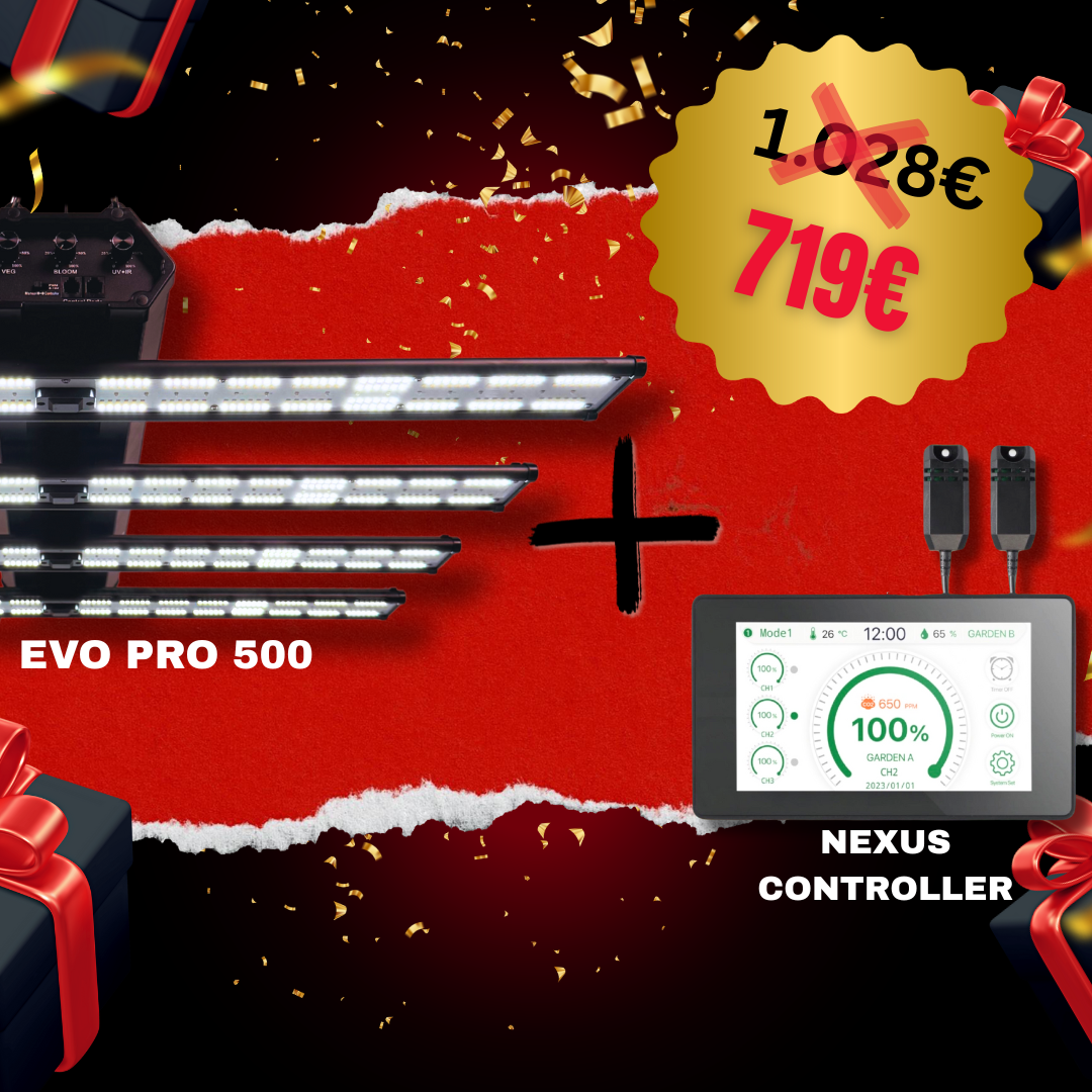 Black Friday Bundle 500