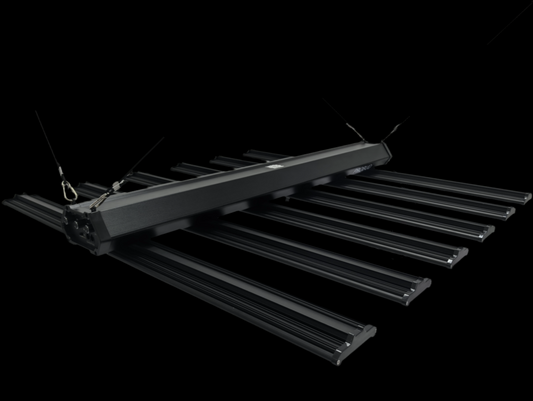 PROBUD® BLACK ARGUS 1250 EVO PRO - PROBUD®