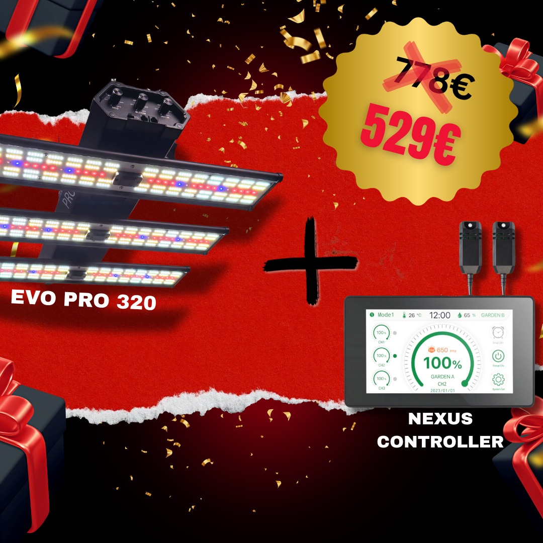 Black Friday Bundle 320