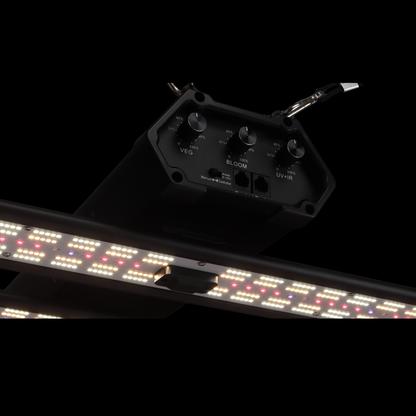 PROBUD® BLACK ARGUS 500 EVO PRO - PROBUD®